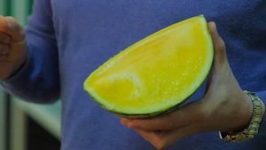 Порционные тыквы и арбузы от Семко.