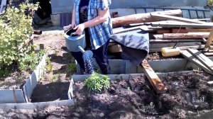 обработала капусту, дальше разбираем 🏡дом...