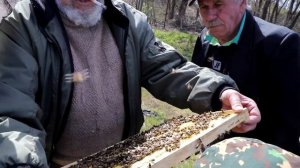 Узбекский пакет. Часть-1. Брать или не брать?