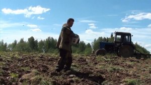 Посевная, сеем овёс на медведя и кабана!!!