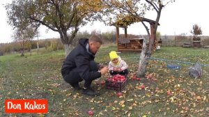 КРЫЛЬЯ ИНДЕЙКИ В АФГАНСКОМ КАЗАНЕ(диетическое блюдо)