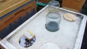 ответы на вопросы по пчеловодству - нужна ли вода для пчел в октябре