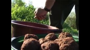 Ловля матчевой удочкой в мае 1