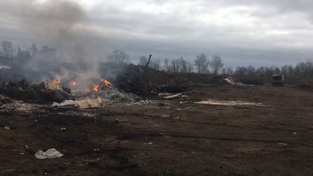 Зеленый Фронт: сжигание мусора в Отрадном смотреть онлайн