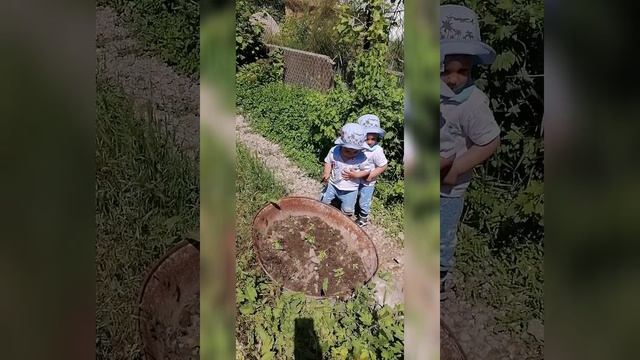 Дачники