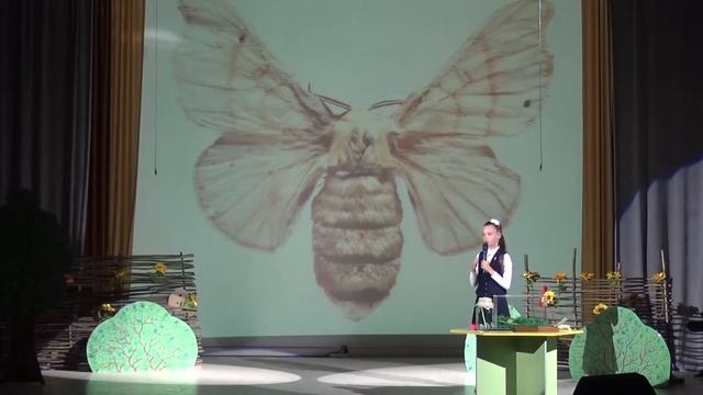 О бабочках - проект ученицы 1"А" класса Алёны Куприяновой смотреть онлайн