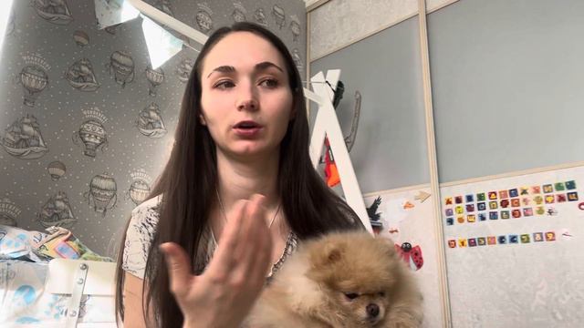 Алопеция Х у шпица, наш опыт борьбы и победы ‼️