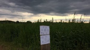 Horhe-Jager 6.35, отстрел на 50 метров