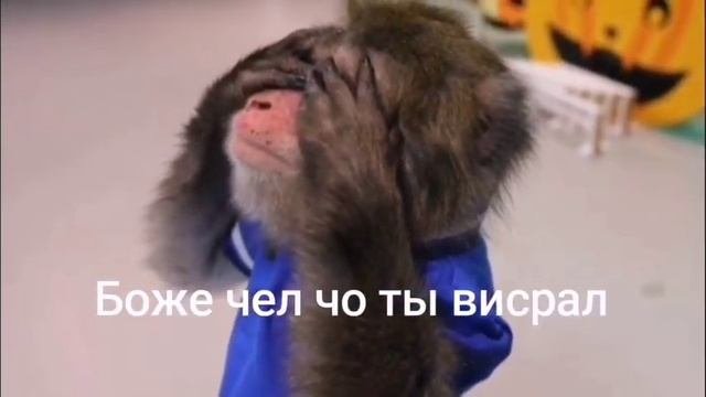 Боже чел
