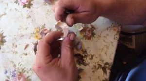 подосиновики  приготовление