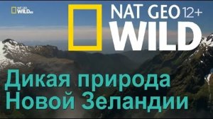 Nat Geo Wild Дикая природа Новой Зеландии затерянный рай   Wild New Zealand. Lost Paradise