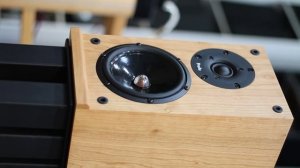 PROAC RESPONSE DB1 & TS AUDIO KA 34.2 TC   "2