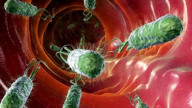 10 фактов о человеческом теле смотреть онлайн