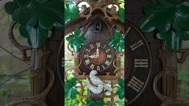 Часы Кукушка Кайзеровская германия 1900-1910 год!!!! Громадная 65 см!!!! смотреть онлайн