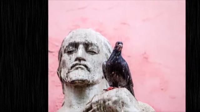 Взгляд (La mirada) / видеопоэзия