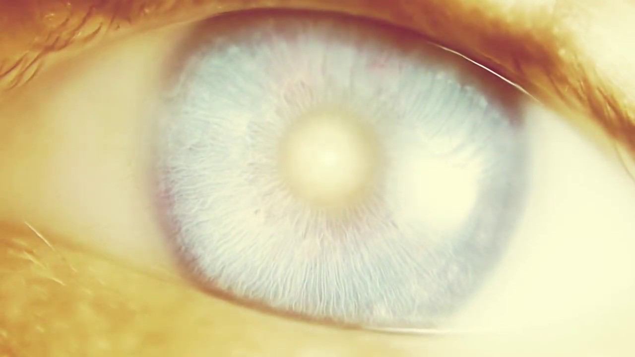 Avalon Rays "Salvation" смотреть онлайн