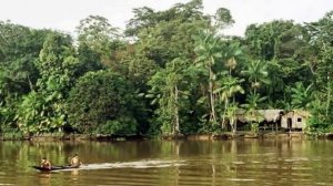 Путешествие в Джунгли Амазонки. Путеводитель