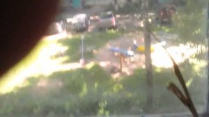 Погода в Вологде