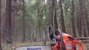 Бензопила хускварна 135 холостая работа. Husqvarna 135