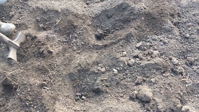 3 способа посадки картофеля для большого урожая! смотреть онлайн