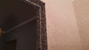 жидкие обои. дверной проем