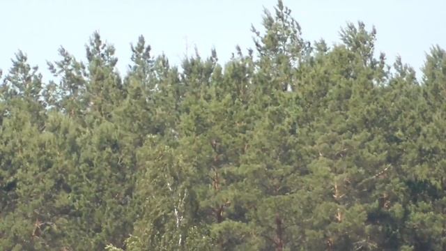 Видеокамера Panasonic V260 в 2019г. Обзор смотреть онлайн