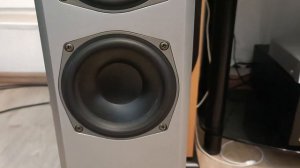 magnat vector needle