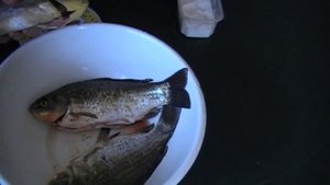 Как жарить карася на гриле. | As carp fry on the grill.