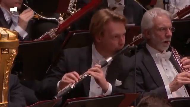 Shostakovich 4 - flutes Cadenza смотреть онлайн