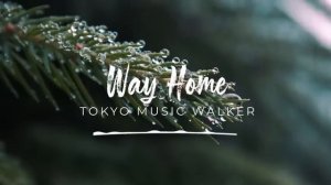 🍂 Музыка без авторских прав — 'Way Home' by @tokyowalker4038 🇯🇵