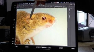 How to Create Line Art Using Photoshop | Top Tips