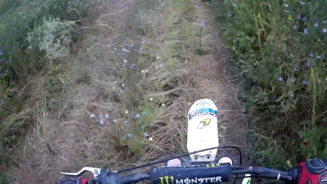 Покатушка на питбайке в лес смотреть онлайн