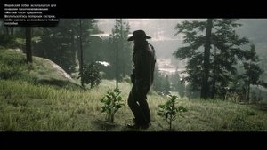 Red Dead Redemption 2 - Испытание травника 5 \ 10