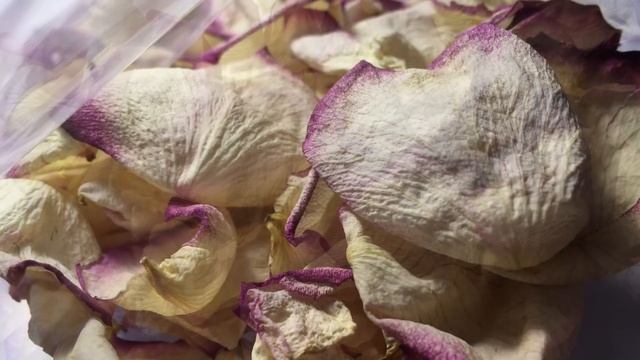 ?Самое Быстрое И Лёгкое Укоренение Роз Из Букета / Часть 1