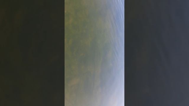 Кроссер - щучка!