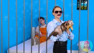 Как пронести домашних животных в самолёт от TeenChallenge