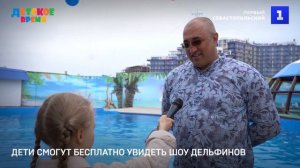 Дети смогут бесплатно увидеть шоу дельфинов