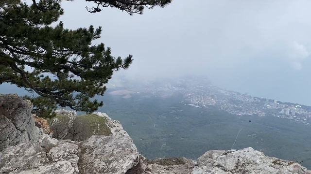 17 апреля 2021 г. смотреть онлайн