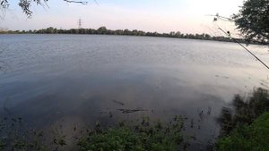 Сазан лучше клюёт на бутылку чем на закидушку!