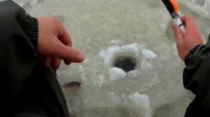 БАЛДА ЛОВИТ ДАЖЕ В ГЛУХОЗИМЬЕ.РЫБАЛКА.ЛОВЛЯ НА БАЛДУ.