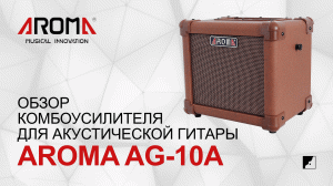 Обзор комбоусилителя для акустической гитары AROMA AG-10A