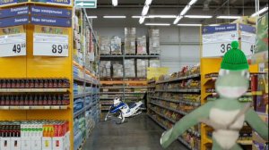 ЧЕРЕПУХУС В ЛЕНТЕ