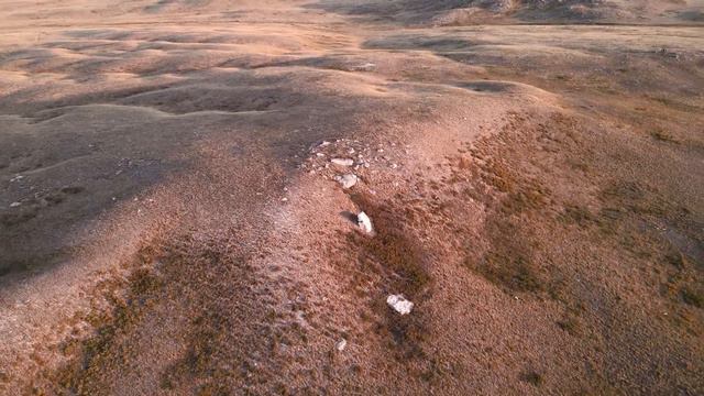 Оренбургская область смотреть онлайн