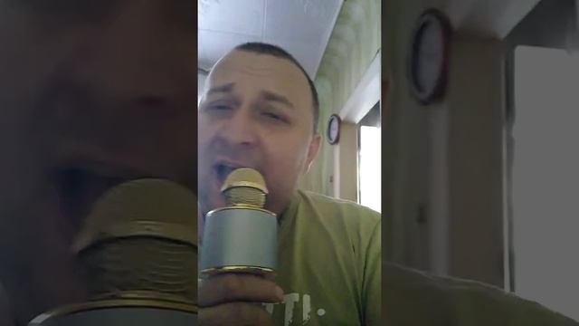 скрипачь