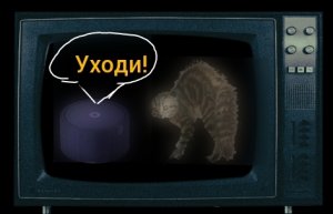 РЕАКЦИЯ КОШКИ МАРУСИ НА ГОЛОСОВОГО ПОМОЩНИКА АЛИСА! ЗНАКОМСТВО МАРУСИ И АЛИСЫ! МАРУСЯ И АЛИСА РУТУБ!