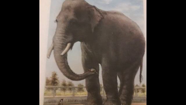 Где обедал воробей? смотреть онлайн