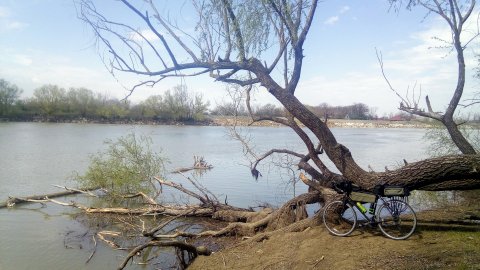 Покатуха в Дубовой роще. ч.1.