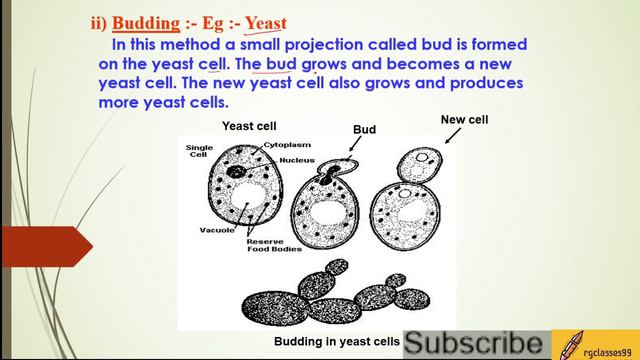 Respiration in Organisms | Why do We Respire? | Class 7 | Full Chapter Explain in simple word// смотреть онлайн