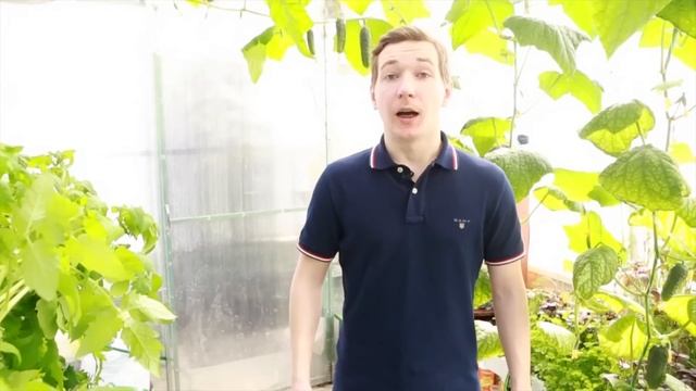 №4 Как выбрать гидропонную систему