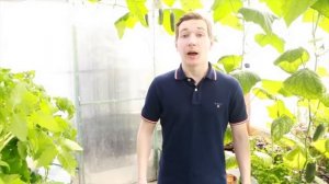 №4 Как выбрать гидропонную систему